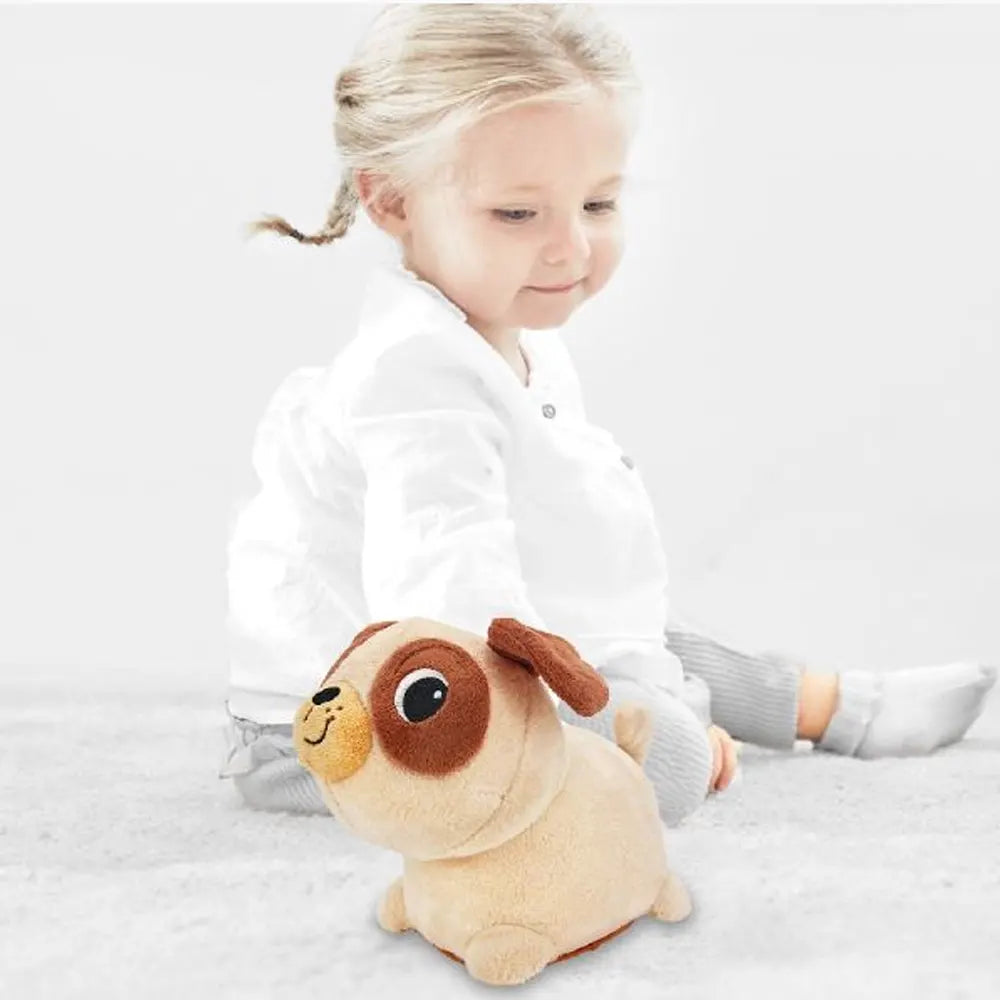 Winfun My Wobbly Pug Pal - 6M+