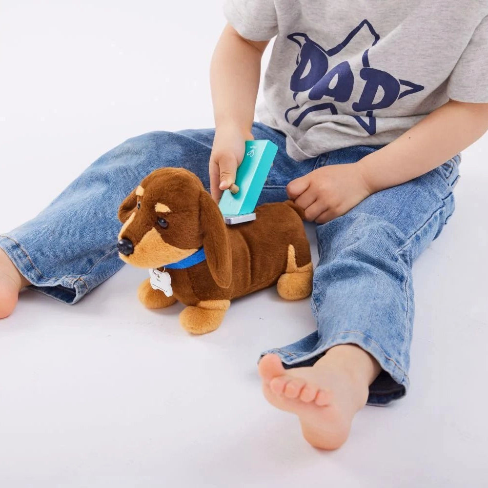 Hape Puppy Care Vet Clinic 3-8Y