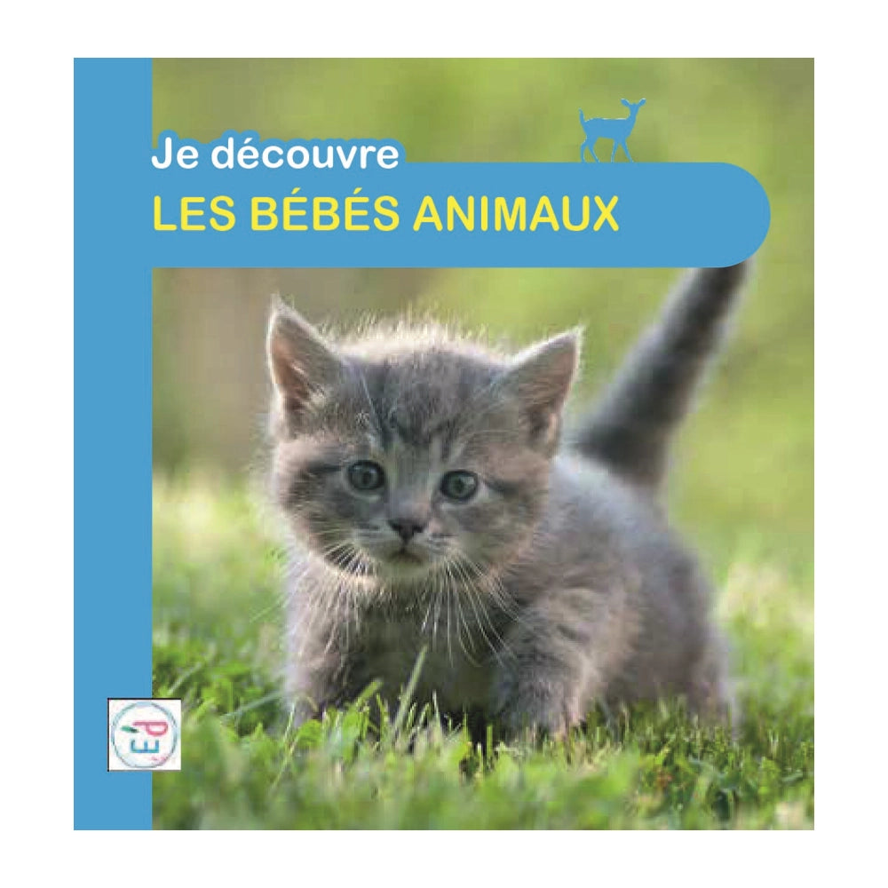 Plume Univers Je Découvre - Les Bébés Animaux