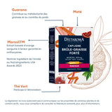Dietaroma Cap Ligne Strong Fat Burner 20 Ampoules x 10ml