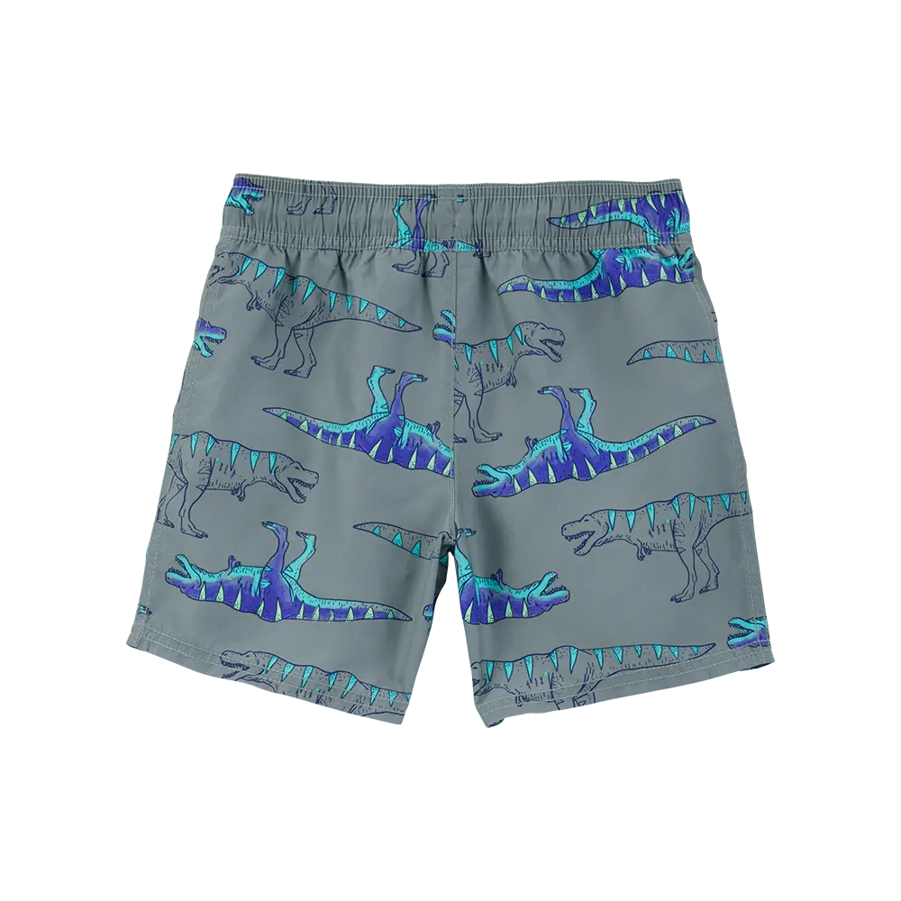 Carter's Boy's Swim Trunks - Dinosaur