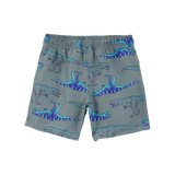 Carter's Boy's Swim Trunks - Dinosaur