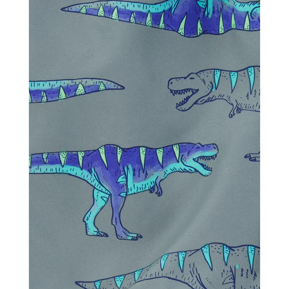 Carter's Boy's Swim Trunks - Dinosaur