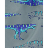 Carter's Boy's Swim Trunks - Dinosaur