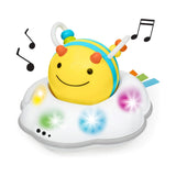 Skip Hop Explore & More Follow-Bee Jouet À Ramper 5M+