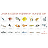 Fish Memo – Educational Memory Game - 3Y+