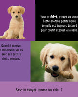My First Touch Sound Book - Baby Animals