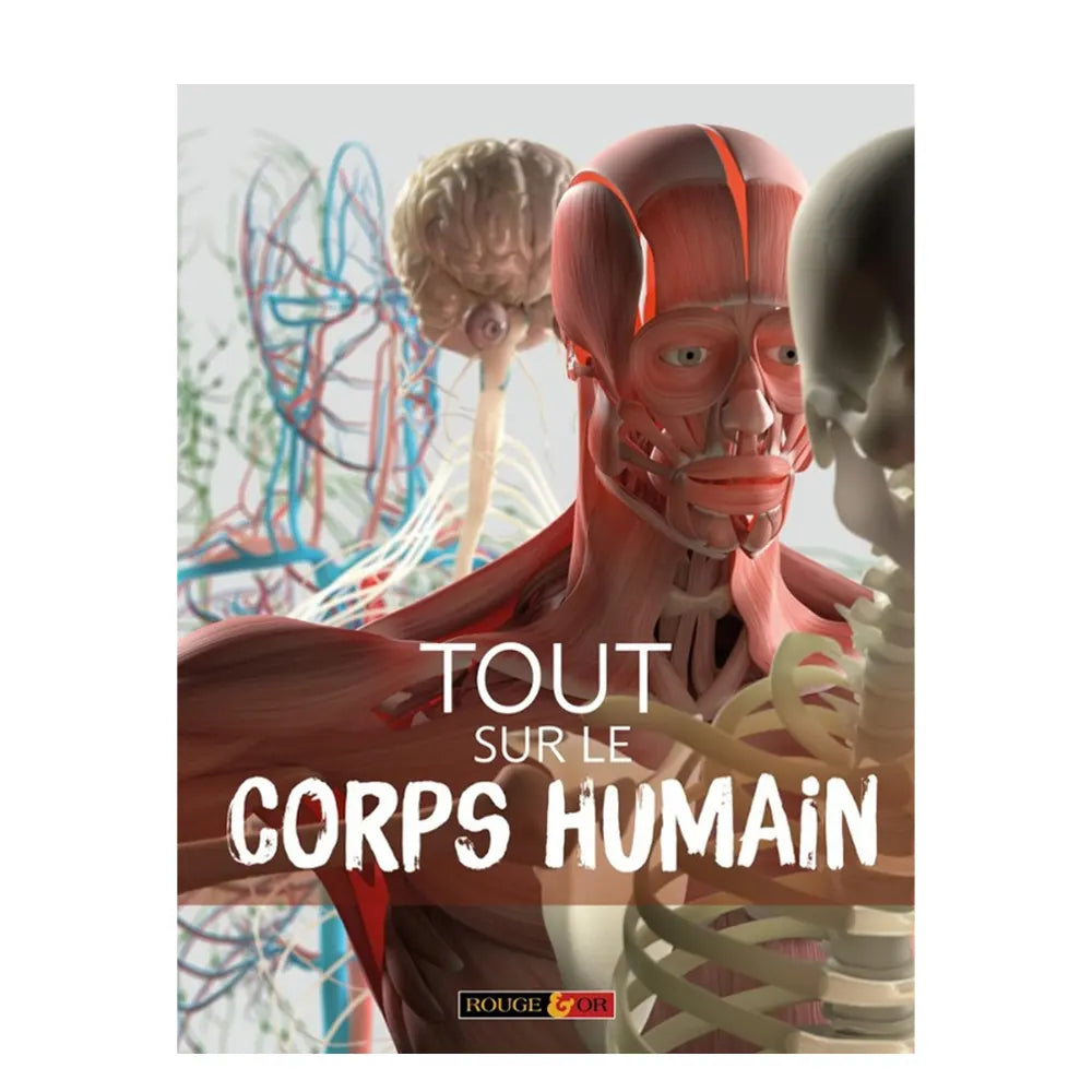 All About the Human Body