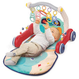 Ludi Play Mat And Walker 0M+