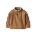 Boy Carter's Zip-Up Trucker Collar Sweater - Brown
