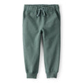 Pantalon de Jogging en Molleton Garçon Carter's - Vert