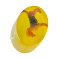 Swibi Orange Blossom Scented Soap Dog - 100g