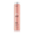 Erayba ABH Color Care Shampooing 250 ml – flacon