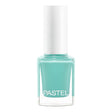 Pastel Vernis à Ongles 313