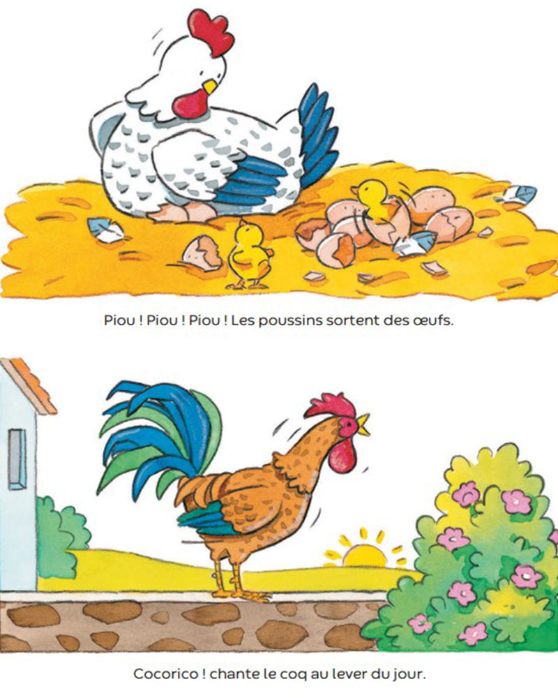 كتاب الصور للصغار - المزرعة