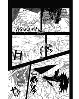 Naruto Tome 43